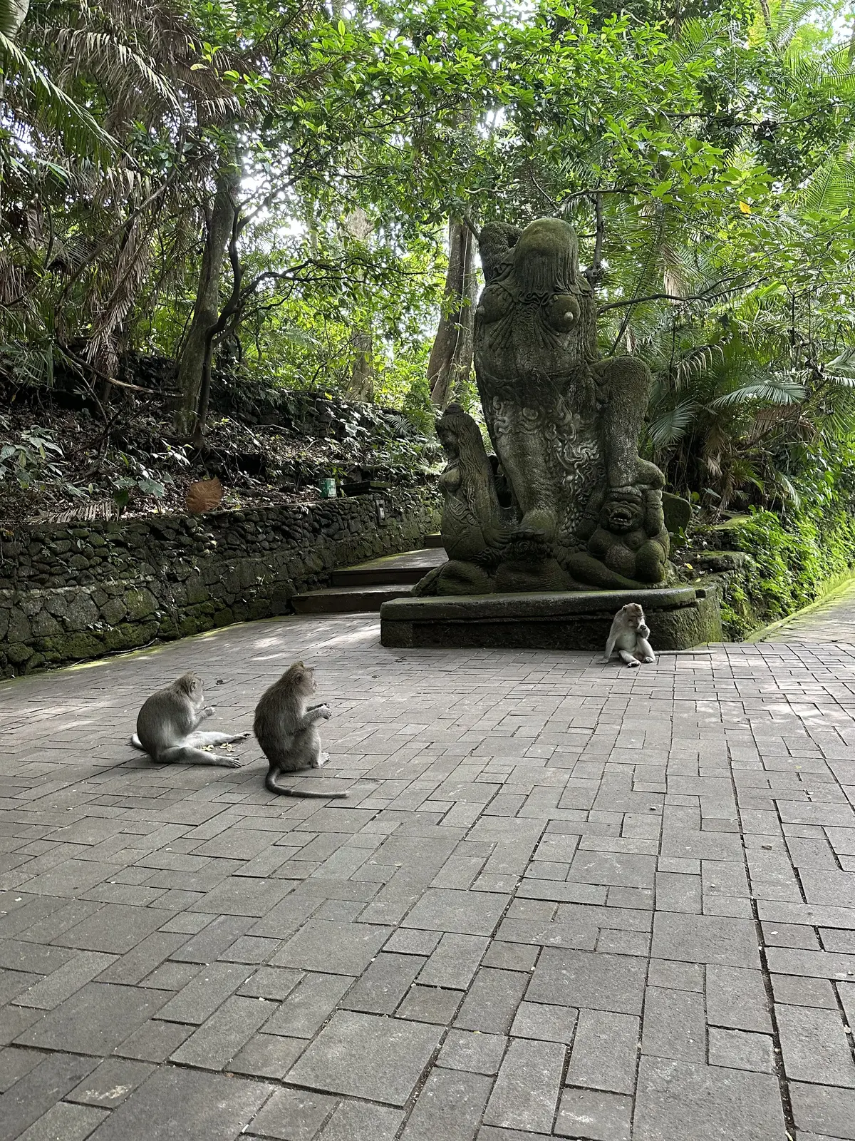 Long-tailed macaques on a stone path beside a moss-covered statue in Bali