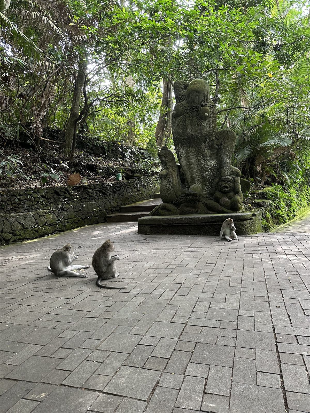 Sanur, Bali with Boundless Life